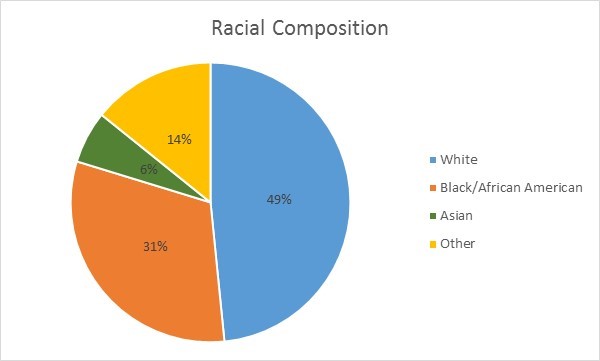 Racial Composition