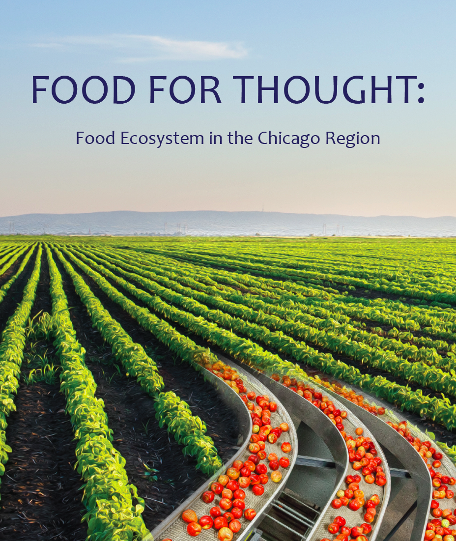 Food for Thought report cover showing agriculture and tomatoes